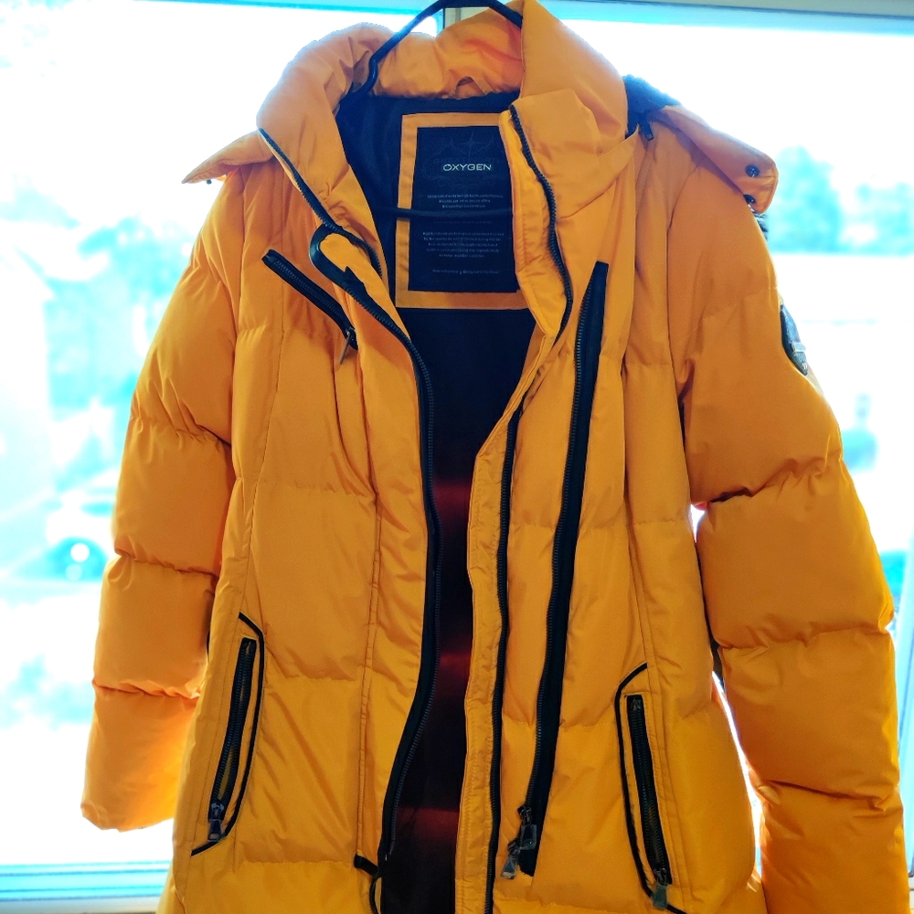 Winter Jacket